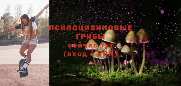 метадон Бородино