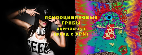 дмт Богданович