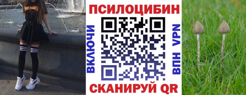 mega   Электросталь  Галлюциногенные грибы мухоморы  где найти  
